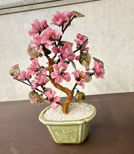Bonsai fiori ciliegio - bonsai, di
