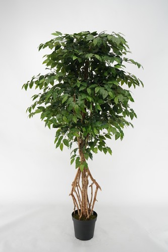 Piante sintetiche finte ficus - piante,